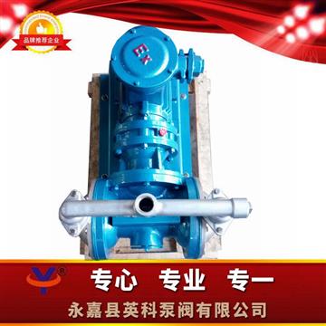 不銹鋼電動隔膜泵